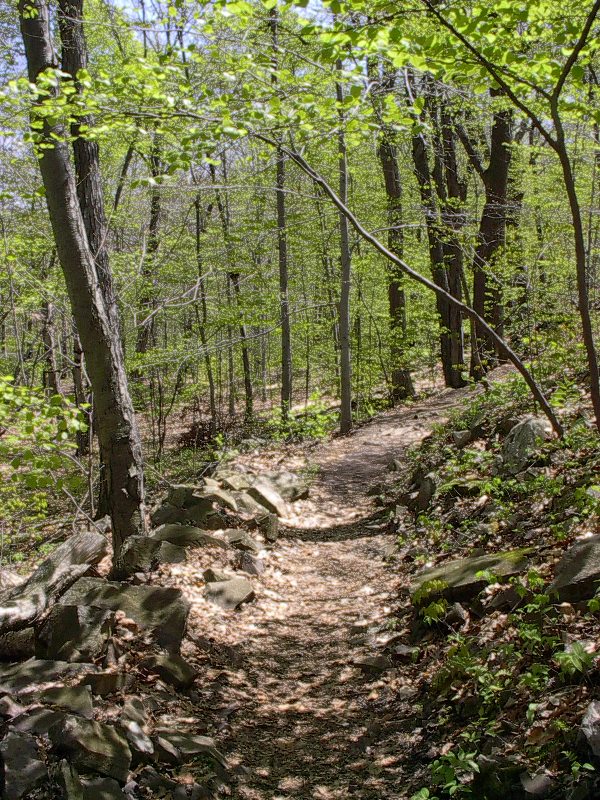 a trail along the traprock ridge